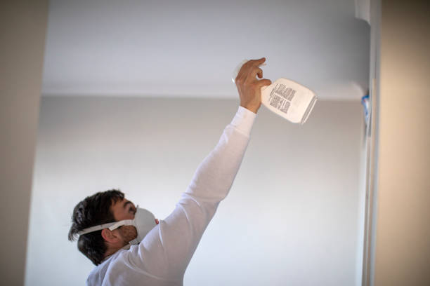 Best Residential Mold Remediation in Blythe, CA