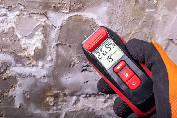 Best DIY Mold Remediation Support Services in Blythe, CA